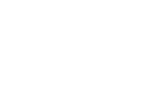 3LS Professional Services logo
