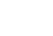 3LS Solutions logo
